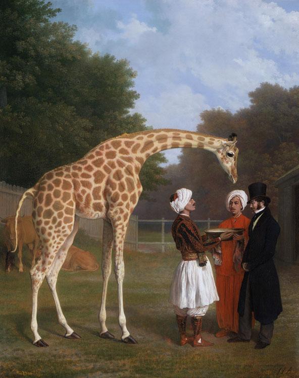 Jacques-Laurent Agasse The Nuian Giraffe (mk25)